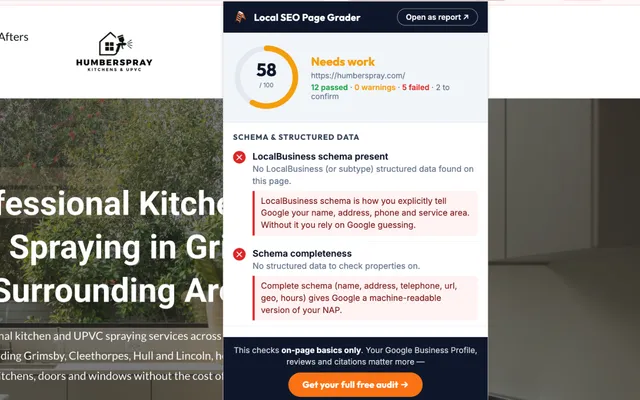 Local SEO Chrome extension popup grading a cleaning company's web page 100 out of 100, with 19 checks passed